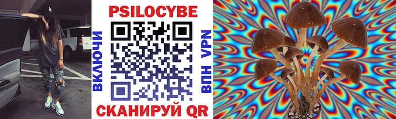 закладка  Туран  Галлюциногенные грибы MAGIC MUSHROOMS 