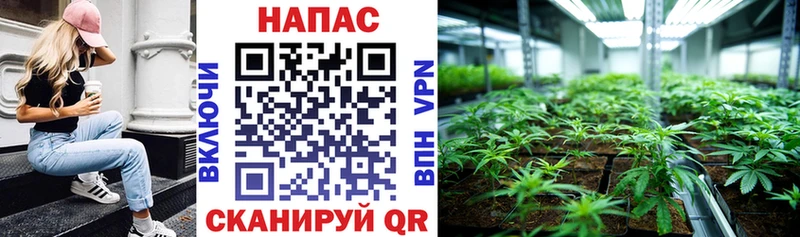 наркотики  blacksprut вход  Каннабис планчик  Туран 